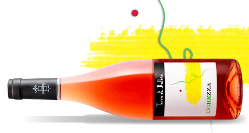 Ligrezza 100% Gaglioppo da unico vigneto